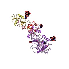 Example Structure of russellysin EC#: 3.4.24.58