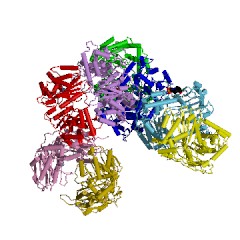 Example Structure of mitochondrial processing peptidase EC#: 3.4.24.64