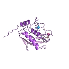 Example Structure of interstitial collagenase EC#: 3.4.24.7