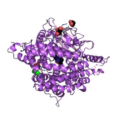 Example Structure of oligopeptidase A EC#: 3.4.24.70