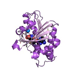 Example Structure of endothelin-converting enzyme 1 EC#: 3.4.24.71