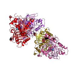 Example Structure of fragilysin EC#: 3.4.24.74