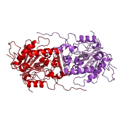 Example Structure of gpr endopeptidase EC#: 3.4.24.78