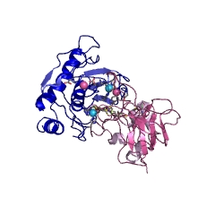 Example Structure of membrane-type matrix metalloproteinase-1 EC#: 3.4.24.80