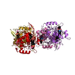 Example Structure of ADAMTS-4 endopeptidase EC#: 3.4.24.82
