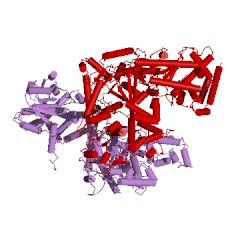 Example Structure of anthrax lethal factor endopeptidase EC#: 3.4.24.83