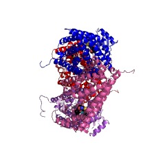 Example Structure of Ste24 endopeptidase EC#: 3.4.24.84