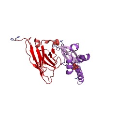 Example Structure of S2P endopeptidase EC#: 3.4.24.85