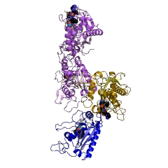 Example Structure of ADAM 17 endopeptidase EC#: 3.4.24.86