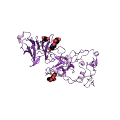 Example Structure of ADAMTS13 endopeptidase EC#: 3.4.24.87
