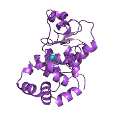 Example Structure of Pro-Pro endopeptidase EC#: 3.4.24.89