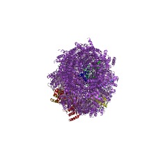 Example Structure of proteasome endopeptidase complex EC#: 3.4.25.1