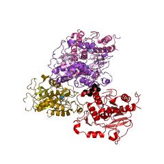 Example Structure of N-acetyl-1-D-myo-inositol-2-amino-2-deoxy-alpha-D-glucopyranoside deacetylase EC#: 3.5.1.103