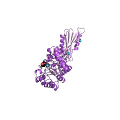 Example Structure of peptidoglycan-N-acetylglucosamine deacetylase EC#: 3.5.1.104