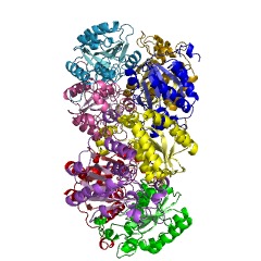 Example Structure of maleamate amidohydrolase EC#: 3.5.1.107