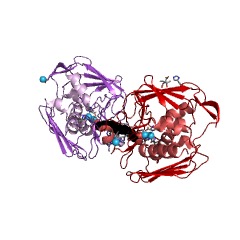 Example Structure of UDP-3-O-acyl-N-acetylglucosamine deacetylase EC#: 3.5.1.108