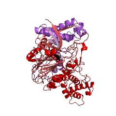 Example Structure of penicillin amidase EC#: 3.5.1.11