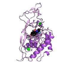 Example Structure of N-acyl-aromatic-L-amino acid amidohydrolase EC#: 3.5.1.114