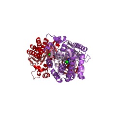 Example Structure of ureidoglycolate amidohydrolase EC#: 3.5.1.116