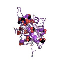 Example Structure of protein N-terminal glutamine amidohydrolase EC#: 3.5.1.122
