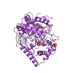 Example Structure of aryl-acylamidase EC#: 3.5.1.13