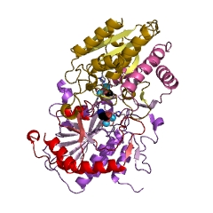 Example Structure of N-acyl-aliphatic-L-amino acid amidohydrolase EC#: 3.5.1.14