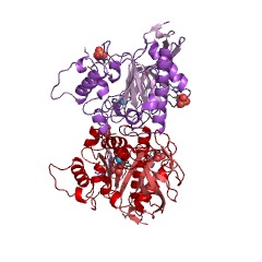 Example Structure of aspartoacylase EC#: 3.5.1.15