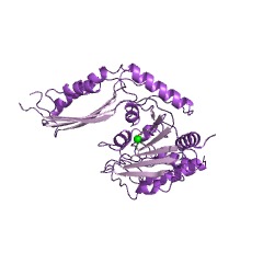 Example Structure of acetylornithine deacetylase EC#: 3.5.1.16