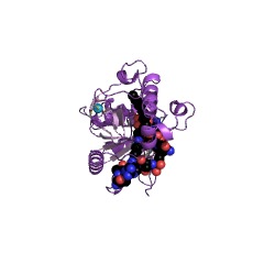 Example Structure of acyl-lysine deacylase EC#: 3.5.1.17