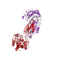 Example Structure of succinyl-diaminopimelate desuccinylase EC#: 3.5.1.18