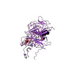 Example Structure of choloylglycine hydrolase EC#: 3.5.1.24