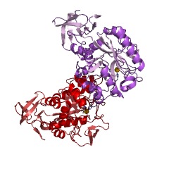 Example Structure of N-acetylglucosamine-6-phosphate deacetylase EC#: 3.5.1.25