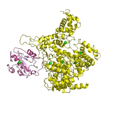 Example Structure of N-acetylmuramoyl-L-alanine amidase EC#: 3.5.1.28