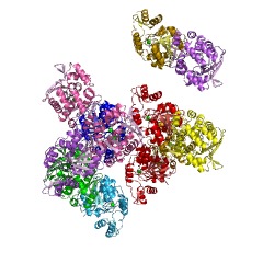 Example Structure of 2-(acetamidomethylene)succinate hydrolase EC#: 3.5.1.29