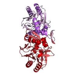 Example Structure of omega-amidase EC#: 3.5.1.3