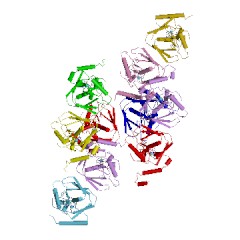 Example Structure of formylmethionine deformylase EC#: 3.5.1.31