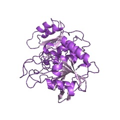 Example Structure of glutamin-(asparagin-)ase EC#: 3.5.1.38