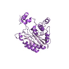 Example Structure of amidase EC#: 3.5.1.4