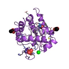 Example Structure of chitin deacetylase EC#: 3.5.1.41