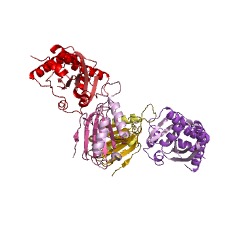 Example Structure of protein-glutamine glutaminase EC#: 3.5.1.44