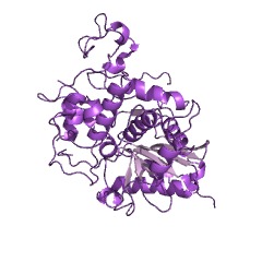 Example Structure of 6-aminohexanoate-oligomer exohydrolase EC#: 3.5.1.46