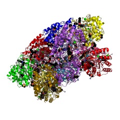 Example Structure of acetylspermidine deacetylase EC#: 3.5.1.48