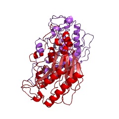 Example Structure of formamidase EC#: 3.5.1.49