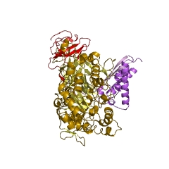 Example Structure of urease EC#: 3.5.1.5