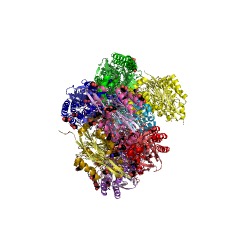 Example Structure of N-carbamoylputrescine amidase EC#: 3.5.1.53