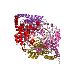 Example Structure of N-carbamoylsarcosine amidase EC#: 3.5.1.59