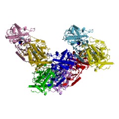 Example Structure of beta-ureidopropionase EC#: 3.5.1.6