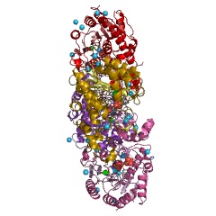 Example Structure of acetylputrescine deacetylase EC#: 3.5.1.62