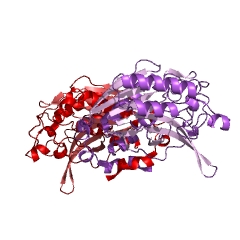 Example Structure of N-carbamoyl-D-amino-acid hydrolase EC#: 3.5.1.77