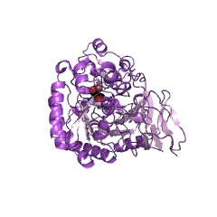 Example Structure of N-Acyl-D-amino-acid deacylase EC#: 3.5.1.81